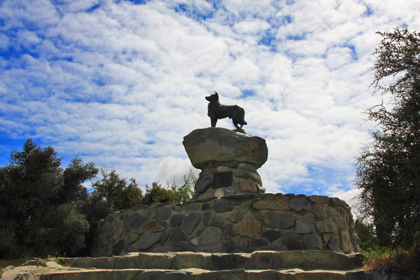nz: 牧羊犬雕像